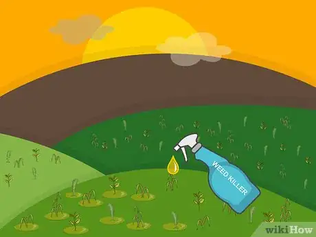 Image titled Remove Weeds from a Lawn Step 03