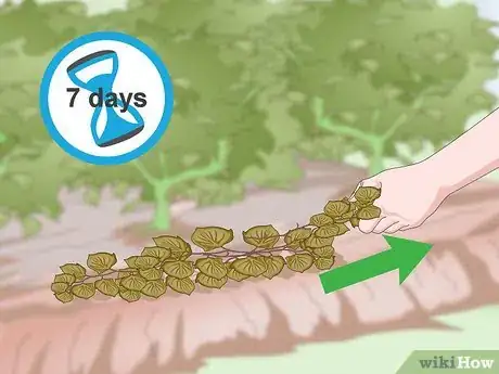 Image titled Get Rid of Japanese Knotweed Step 3