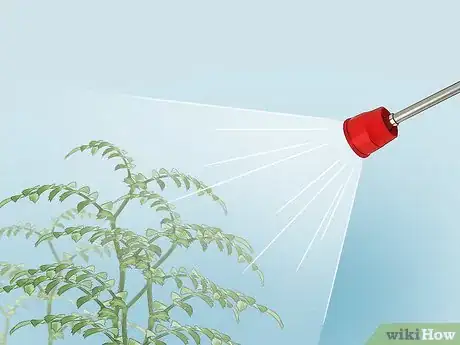 Image titled Grow Chickpeas Step 14