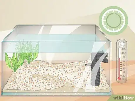 Image titled Clean a Betta Fish Tank Step 10