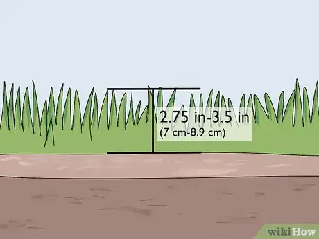Image titled Take Care of Sod Step 7