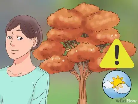 Image titled Get Rid of Oak Mites Step 2