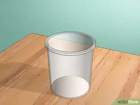 Image titled Look After a Pet Woodlouse Step 1