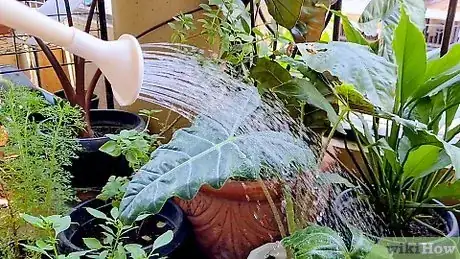 Image titled Make Moon Water Tea Step 13