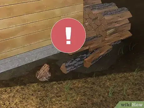 Image titled Get Rid of Toads in Your Yard Step 6
