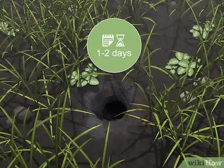 Image titled Find a European Wasp Nest Step 16