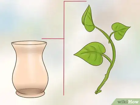 Image titled Clone Pothos Step 10