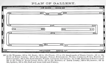 Map of part of the Museum of the Peabody Academy of Science, 1879