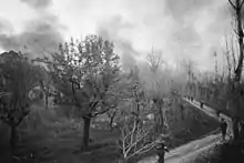 A black and white photograph of a dirt road along which men wearing military uniforms are walking; smoke is rising from amongst trees in the distance