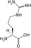 L-Arginine(Arg / R)
