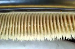 Photo displaying dozens of baleen plates: The plates face each other, and are evenly spaced at approximately 0.25 in (6.4 mm) intervals. The plates are attached to the jaw at the top, and have hairs at the bottom end.