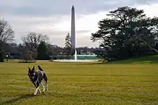 Major on the White House lawn in January 2021