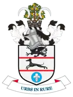 Official logo of Metropolitan Borough of Solihull