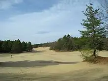 Photograph of sandy terrain