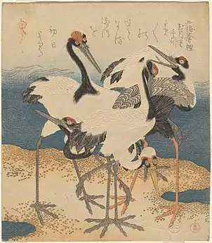 Five cranes on a spit of sand. Surimono, probably 1816. Chester Beatty Library