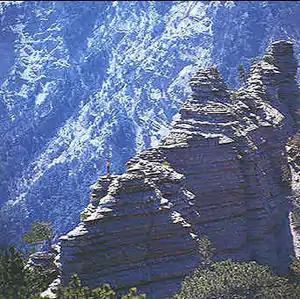 Yalta Mountain-Forest Nature Reserve