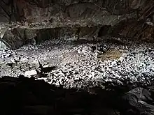 Photograph of the large "living room" from the small "bedroom" of "The Cave Hotel". The "living room" is on a lower level and is relatively flat, with a raised platform of rocks towards the rear. This was possibly to provide a drier area, as the floor is wet with dripping water towards the front of the cave. At the time of visiting (February 2023), there was a fire platform and crude log bench in the centre of the living area. There was a bit of a scramble up to the "bedroom" area, which has a separate entrance/exit.