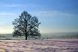 Saldus hill landscape near Lielciecere&nbsp;[lv]