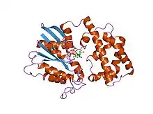 1gia: STRUCTURE OF ACTIVE CONFORMATIONS OF GIA1 AND THE MECHANISM OF GTP HYDROLYSIS