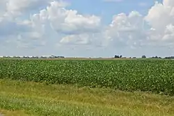 Fields south of Hartford