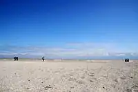 Nazar Bilyk&nbsp;[uk]. "Quotation mark". Metal. 2014.