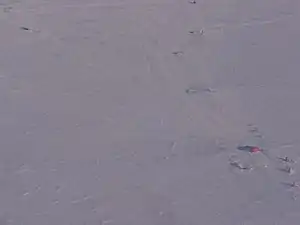 Sky Blu Melon hut and ancillary facilities, taken on approach to the runway. The hut and facilities are located about 1.5 kilometres (0.93 mi) from the runway, pictured top left.