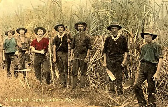 Canecutters in Ayr, Australia c.1907