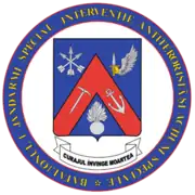 Special Gendarmes Battalion 1 Antiterrorism Intervention and Special Actions