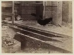 Guastavino tile vaults are strong enough to support the flooring above.