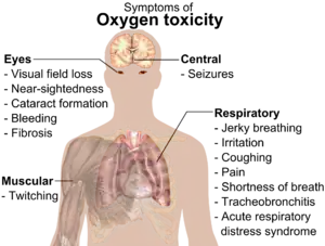 A diagram showing a male torso and listing symptoms of oxygen toxicity: Eyes – visual field loss, nearsightedness, cataract formation, bleeding, fibrosis; Head – seizures; Muscles – twitching; Respiratory system – jerky breathing, irritation, coughing, pain, shortness of breath, tracheobronchitis, acute respiratory distress syndrome.