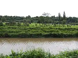 Munster Blackwater river in Coshmore and Coshbride.