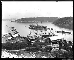 Launch of The Lady Mary at Berrys Bay, North Sydney, 1892, the first of a long series of "Lady-class" ferries