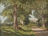 Forest with a view of a clearing