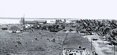 click on image to enlarge it