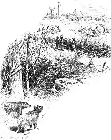 11-PRIMITIVE FENCE.jpg