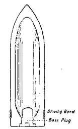 1911 Britannica - Pointed Common Shell.png