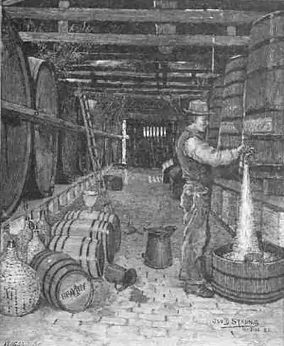 Click on image to enlarge.