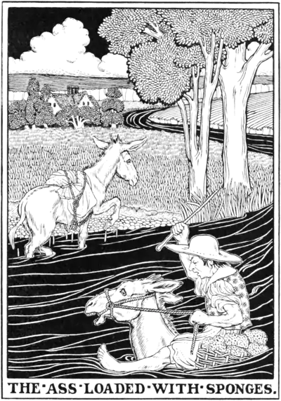 The Ass loaded with Sponges.