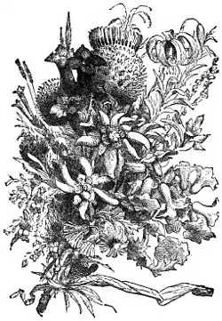 A Tramp Abroad 0383h.jpg