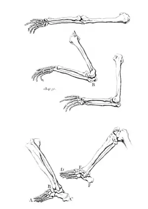 A Treatise on Painting - Plate 1.png