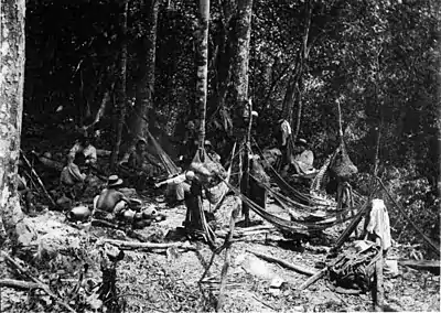 A glimpse of Guatemala - Camp in the Forest - Tikál.jpg