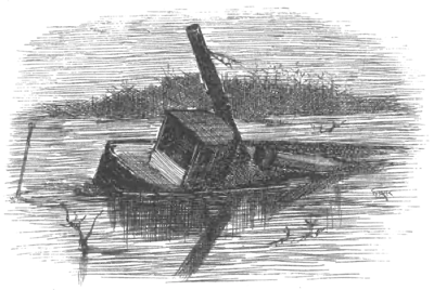 wrecked boat half-sunk in river