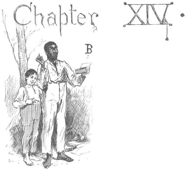 Adventures of Huckleberry Finn 1885-p109.png