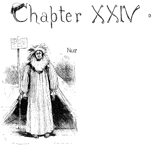 Adventures of Huckleberry Finn 1885-p203.png