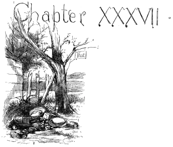 Adventures of Huckleberry Finn 1885-p316.png