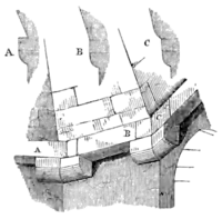 Archaeological Journal, Volume 2, 0027.png