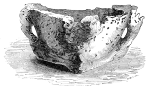 Archaeological Journal, Volume 2, 0298a.png