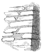 Archaeological Journal, Volume 3, 0066.png