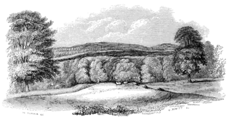 Archaeological Journal, Volume 3, 0138.png