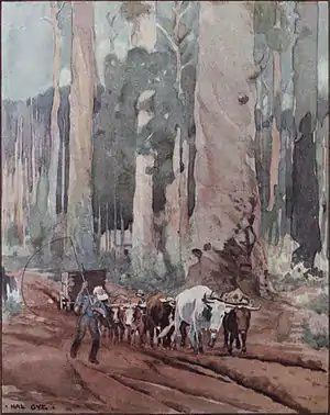 Backblock Ballads and Later Verses (Dennis, 1918) - Frontispiece.jpg